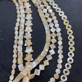 13-18mm Horseshoe Shells Geometric Beads Natural Seashells