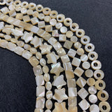 13-18mm Horseshoe Shells Geometric Beads Natural Seashells