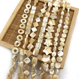 13-18mm Horseshoe Shells Geometric Beads Natural Seashells