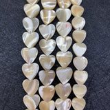 13-18mm Horseshoe Shells Geometric Beads Natural Seashells