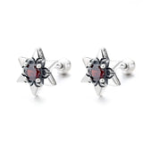 ZFSILVER Retro Purple Red Green Zircon Star Earring