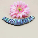Abalone Sea Shell Beads Ladder Necklace DIY Jewelry Making