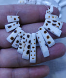 13pcs Natural Sea Shell Pendant Teeth Bar 10-25x6mm Brown Shell