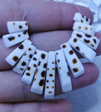 13pcs Natural Sea Shell Pendant Teeth Bar 10-25x6mm Brown Shell