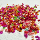 140/280pcs Little Star Flower Head Epoxy Resin Candle Making DIY Craft