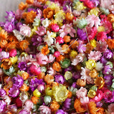 140/280pcs Little Star Flower Head Epoxy Resin Candle Making DIY Craft