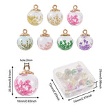 14Pcs Glass Pendants with Dried Flower Inside 20.5x16mm
