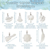 14Pcs Shell Pendants w/ Brass Findings for DIY Jewelry Making