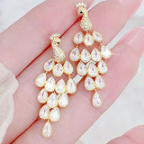 14k Plated Peacock Earrings with Zircon Inlay