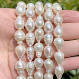 14pcs 8x12mm Natural Freshwater Baroque Pearls Beads Jewelry Making