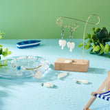 14pcs Natural Shell Pendants for Jewelry Making