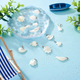 14pcs Natural Shell Pendants for Jewelry Making