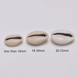 15-23mm Natural Shell Conch Charm Beads Oval Cowry Tribal Spacer Beads