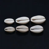 15-23mm Natural Shell Conch Charm Beads Oval Cowry Tribal Spacer Beads