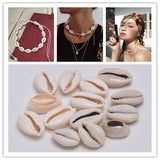 15-23mm Natural Shell Conch Charm Beads Oval Cowry Tribal Spacer Beads