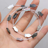15PC Natural Sea Shell Animal Beads Mother of Pearl Charms DIY Jewelry