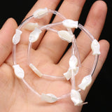 15PC Natural Sea Shell Animal Beads Mother of Pearl Charms DIY Jewelry