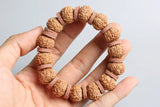 15mm Drum Rudraksha Beads & Oxhide Spacer Bracelet