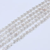 15x2.8mm Carved Star Shell Pearl Beads Strand