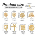 16Pcs Brass Starfish Stud Earrings with Stainless Steel Ear Nuts
