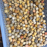 Natural Chrysanthemum Stone Beads 16x18mm Column Shape 10 Pieces