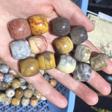 Natural Chrysanthemum Stone Beads 16x18mm Column Shape 10 Pieces