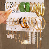 Leopard Print Acrylic Dangle Earrings Set