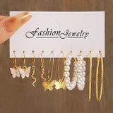 Leopard Print Acrylic Dangle Earrings Set