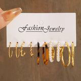 Leopard Print Acrylic Dangle Earrings Set
