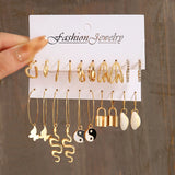 Leopard Print Acrylic Dangle Earrings Set