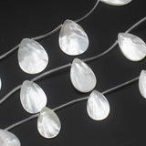 10pcs Natural Mother of Pearl Shell for DIY Jewelry Making
