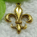 180 Plated Charms 30x22mm #1483
