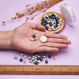180Pcs Freshwater Pearl Oval Beads w/ Elastic Thread Jewelry Making