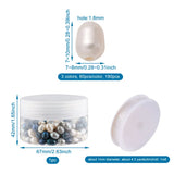 180Pcs Freshwater Pearl Oval Beads w/ Elastic Thread Jewelry Making