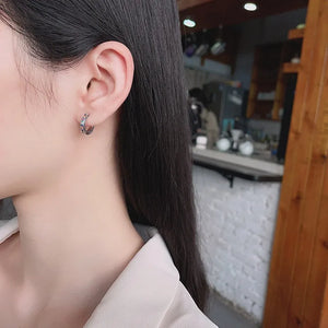 ZFSILVER S925 Silver Zircon Circle Earring Charms for Girls Women