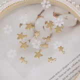 18K Plated Star DIY Earrings Pendant