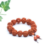 18mm Rudraksha Seeds Disciple Beads Bracelet