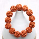 18mm Rudraksha Seeds Disciple Beads Bracelet