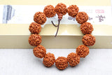 18mm Rudraksha Seeds Disciple Beads Bracelet