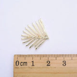 14K Plated Brass Leaf Leaves Stud Earrings DIY Jewelry Making
