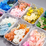 Colorful Dried Flowers for Resin Mold Craft DIY Bouquet Garland Candle Making