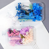 Colorful Dried Flowers for Resin Mold Craft DIY Bouquet Garland Candle Making