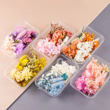 Colorful Dried Flowers for Resin Mold Craft DIY Bouquet Garland Candle Making