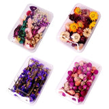 Crystal Epoxy Filler Dry Flower Nail Stickers Resin Filling Material DIY Crafts