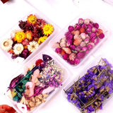 Crystal Epoxy Filler Dry Flower Nail Stickers Resin Filling Material DIY Crafts
