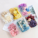 Dried Flowers DIY Decorative for Epoxy Resin Mold