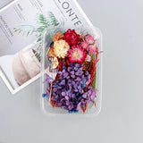Dried Flowers DIY Decorative for Epoxy Resin Mold