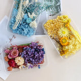 Dried Flowers DIY Decorative for Epoxy Resin Mold