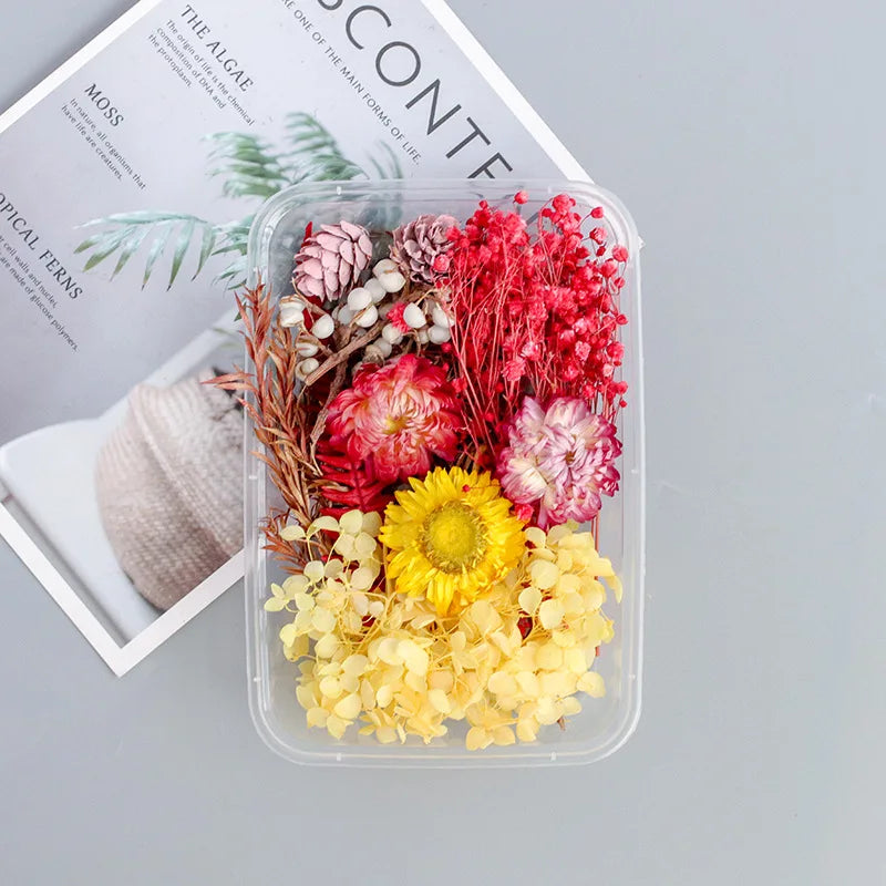 Dried Flowers DIY Decorative for Epoxy Resin Mold