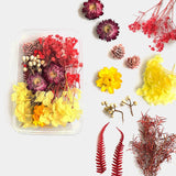 Dried Flowers for Resin Casting Mold DIY Crafts